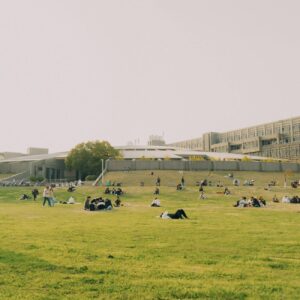¿Vale la pena invertir en un Diplomado de universidad online 1 pexels photo 20728227 3